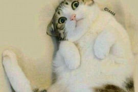 宣武专业催债公司的市场需求和前景分析